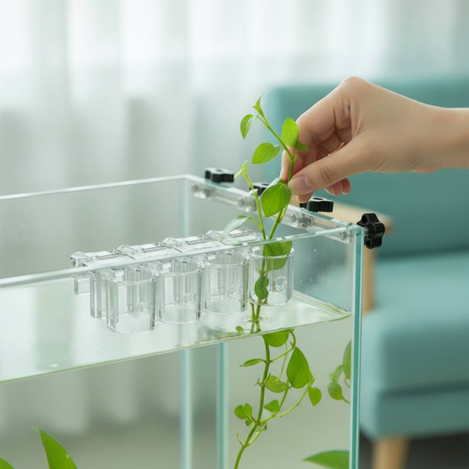 Aquarium Plant - 6個入り水槽プランター クリア水耕栽培サポートクリップ ネジ付き 水生植物カップ クランプ式 水槽愛好家、水槽用