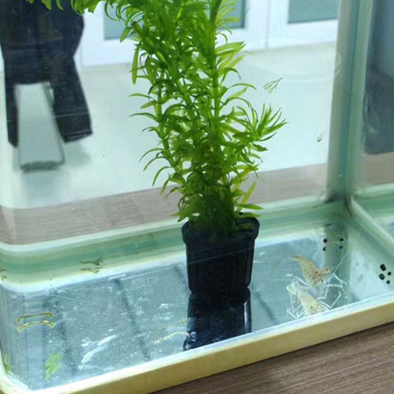 Aquarium Planted Background - 4 個の水耕栽培植物バスケットセット水族館プランターポット水槽植物ホルダー水族館用吸盤家庭用水槽