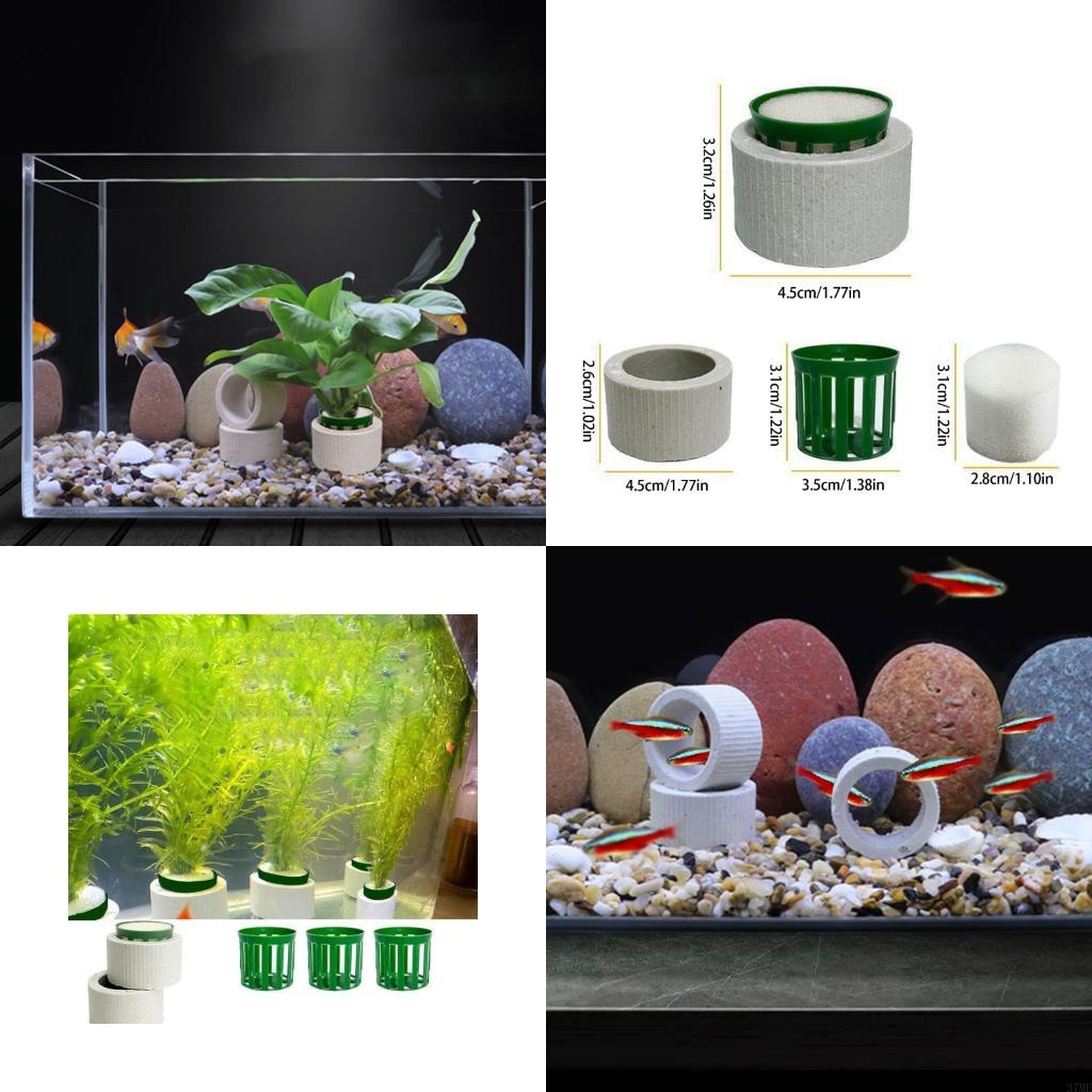 Aquarium Planted Background - 37ME 10 個水族館植物固定リングセットセラミック水族館植物リングバスケットと綿フィラー水族館アクセサリー