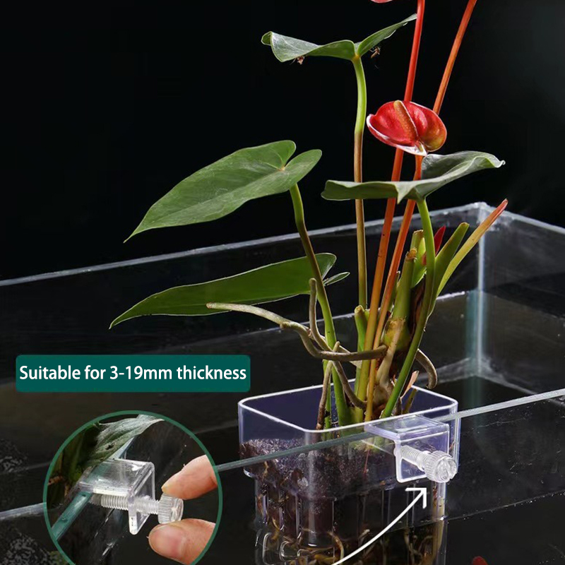 Aquarium Plant Grass - 多機能フィッシュ水族館、水草植栽カップ、魚の分離ボックス、水耕植物、造園