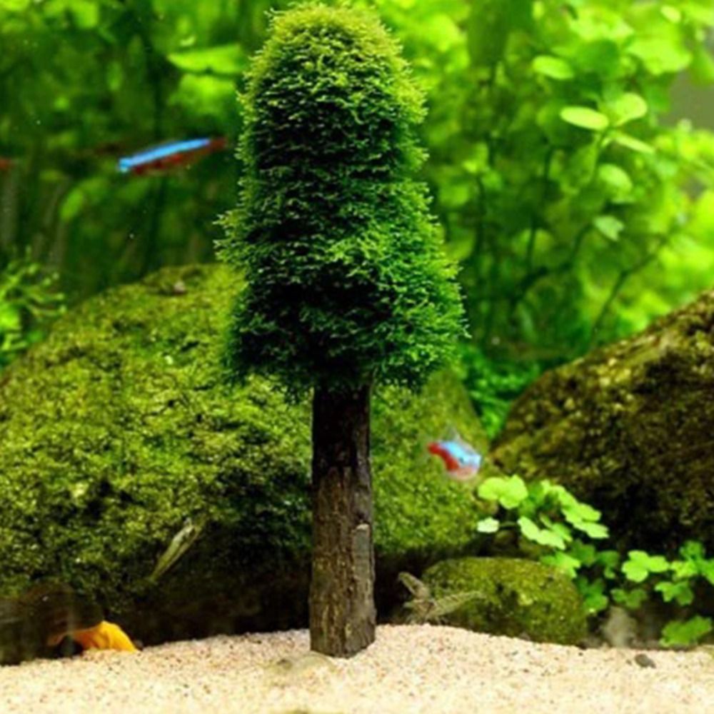 シミュレーションクリスマスツリー水槽苔植物ホルダーミニツリー - Aquarium Planted Background のレビューと価格