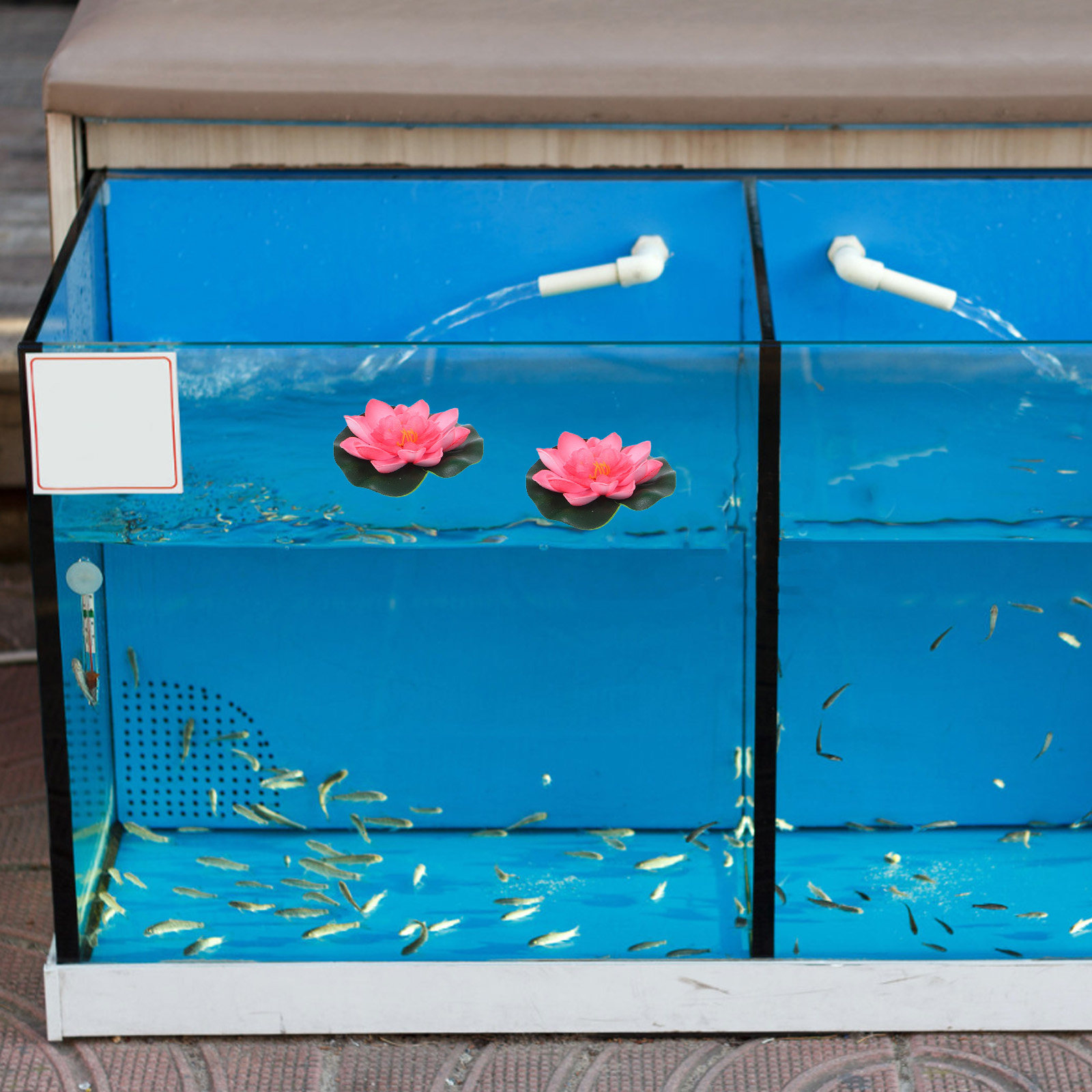 12個入り人工フローティングウォーターリリー（蓮の花）池、プ - Aquarium Plant のレビューと価格