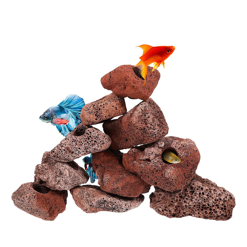 オープンホールロックフィッシュピールシェルター陶器火山石モス - Planted Aquarium With Rocks のレビューと価格