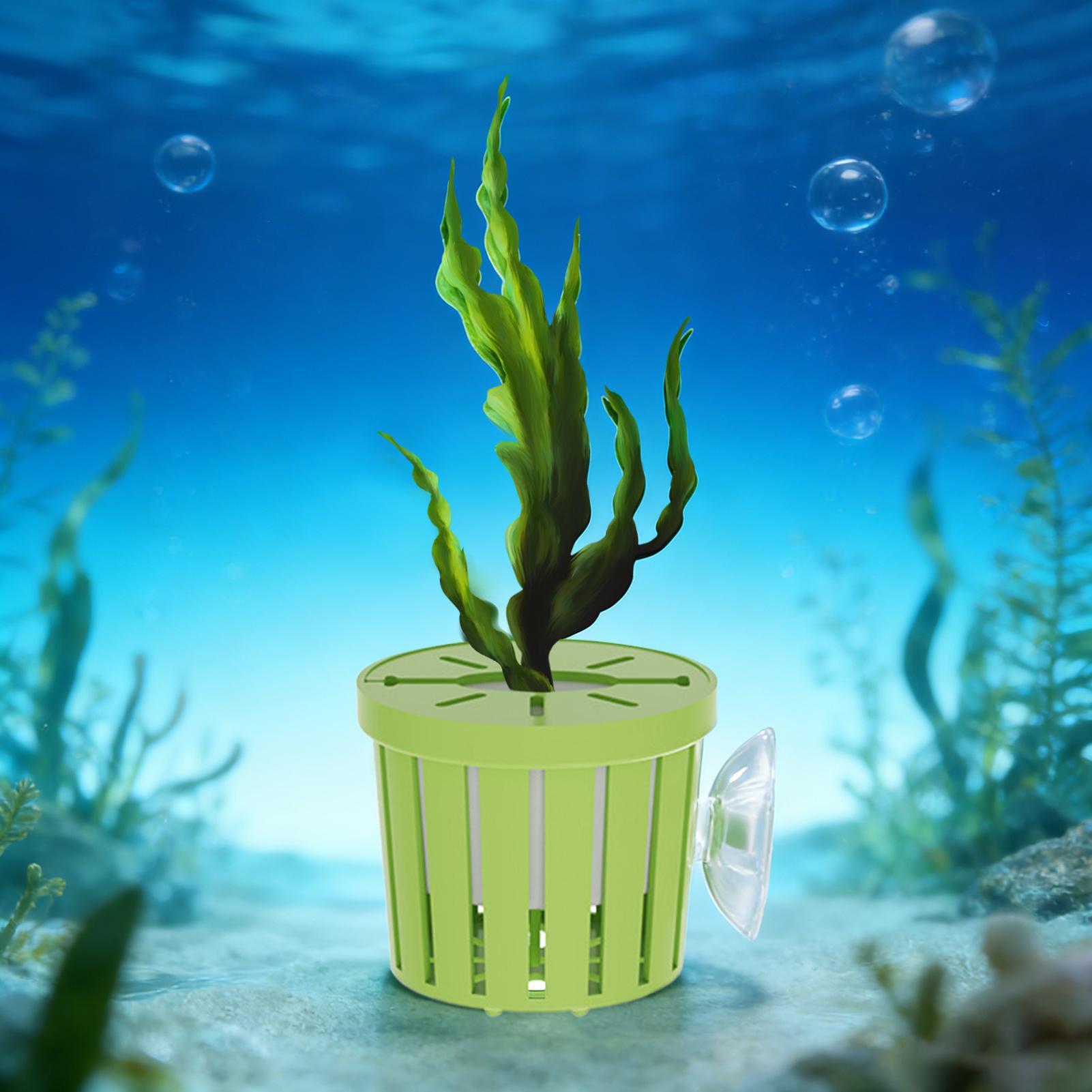 4 個の水耕栽培植物バスケットセット水族館プランターポット水 - Aquarium Planted Background のレビューと価格