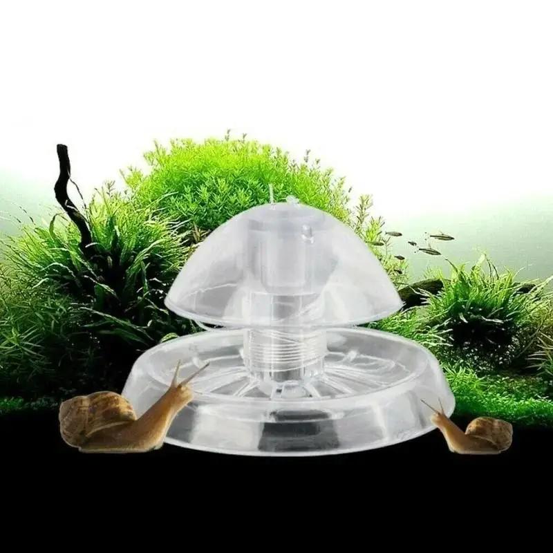 2026年新発売 6/8CM 透明プラスチック製カタツムリ捕 - Planted Aquarium Cleaning のレビューと価格
