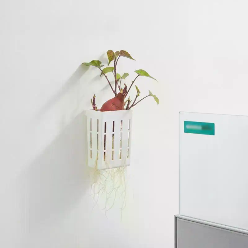 水耕栽培用サポートバスケット1個、水槽用植栽カップ、水草水生 - Aquarium Plant のレビューと価格