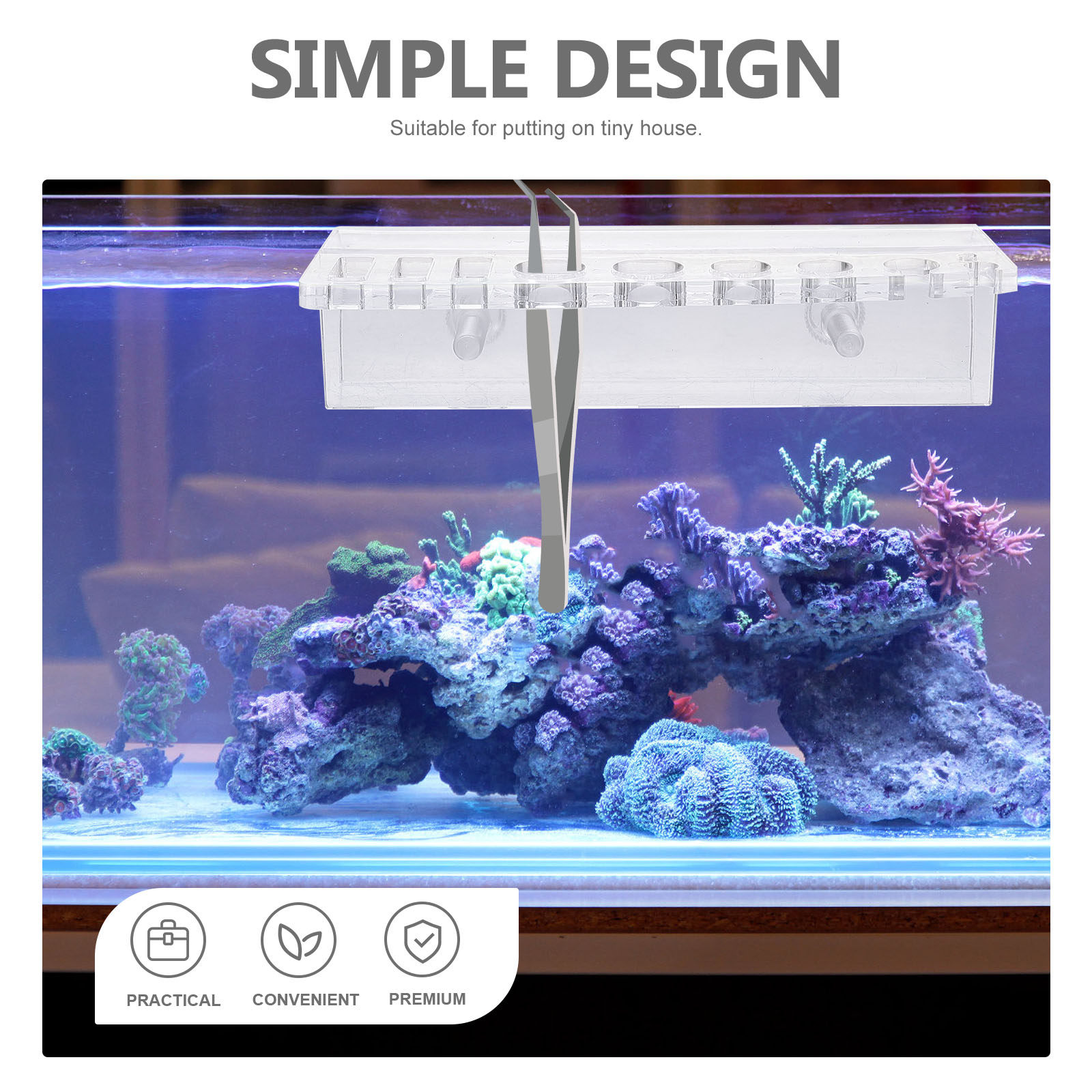 水槽ツールホルダー アクリル製水槽収納ラック 壁掛け式 水草 - Planted Aquarium Maintenance のレビューと価格
