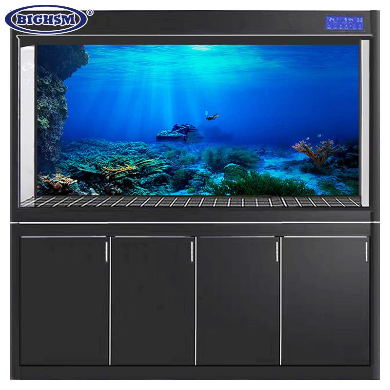 水槽の背景装飾画,HD水族館の風景,海の植物の装飾,1個 - Aquarium Planted Background のレビューと価格