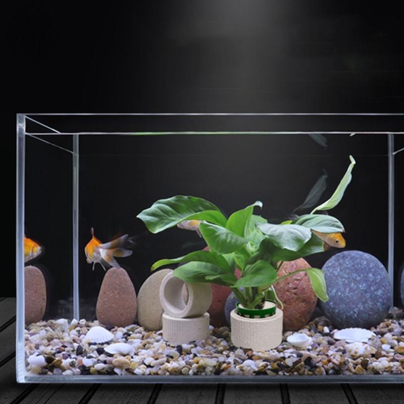 37ME 10 個水族館植物固定リングセットセラミック水族館 - Aquarium Planted Background のレビューと価格