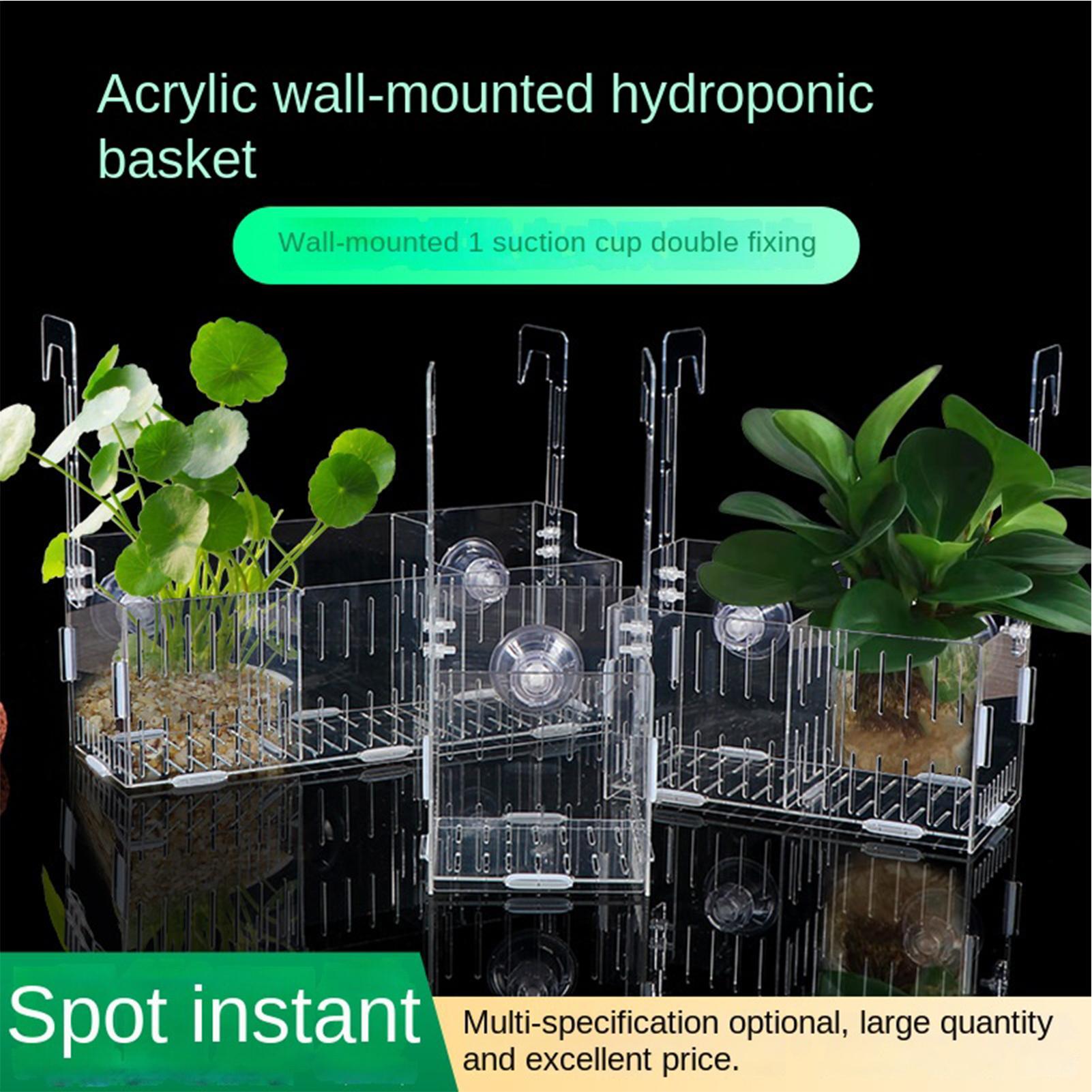 アクリル水槽植物ホルダー高さ調節可能な水耕栽培プランター水中 - Aquarium Plant Vine のレビューと価格