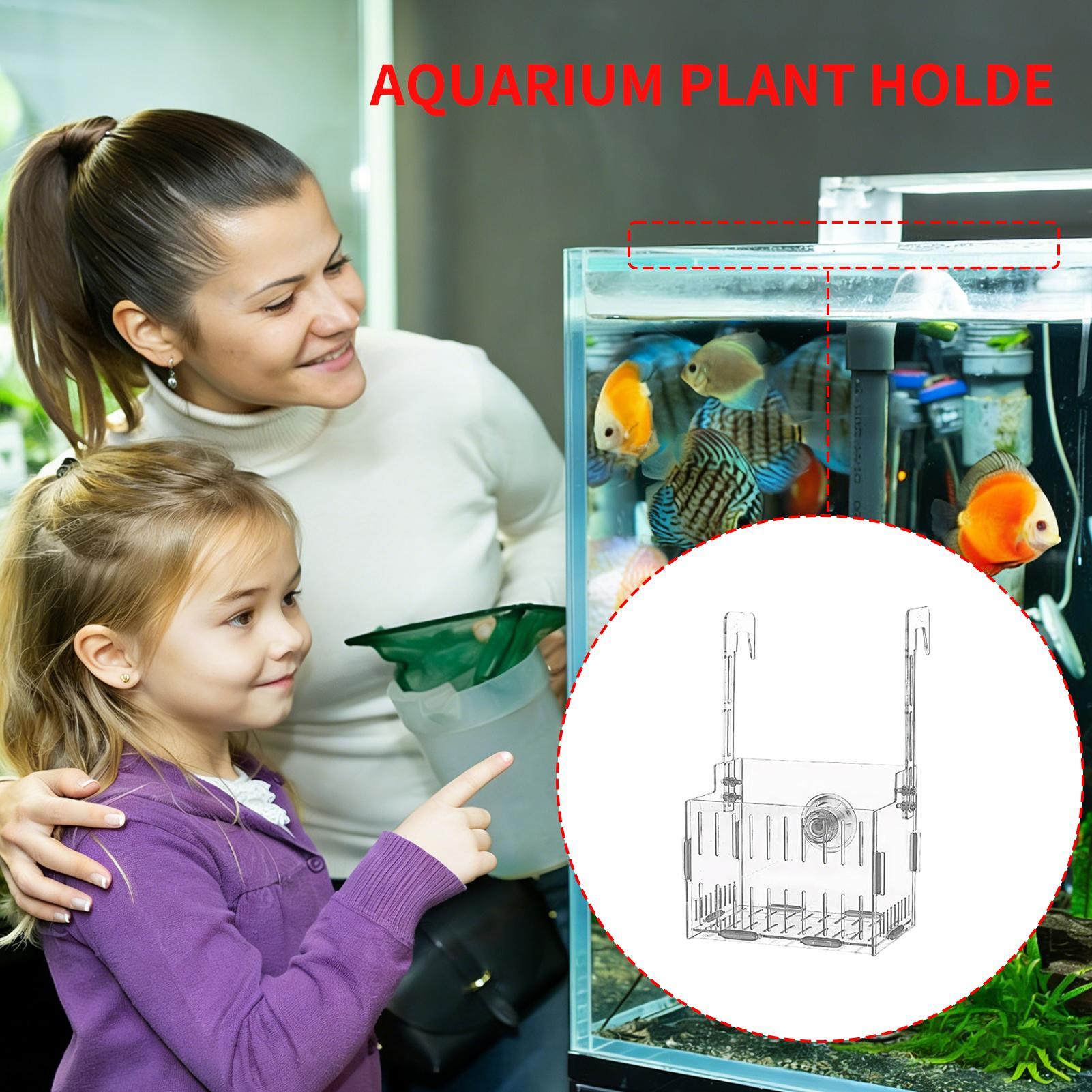 アクリル水槽植物ホルダー高さ調節可能な水耕栽培プランター水中 - Aquarium Plant Vine のレビューと価格