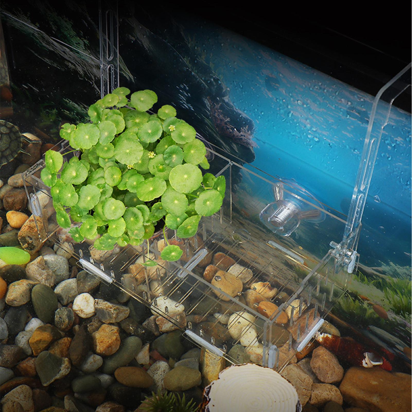 アクリル水槽植物ホルダー高さ調節可能な水耕栽培プランター水中 - Aquarium Plant Vine のレビューと価格