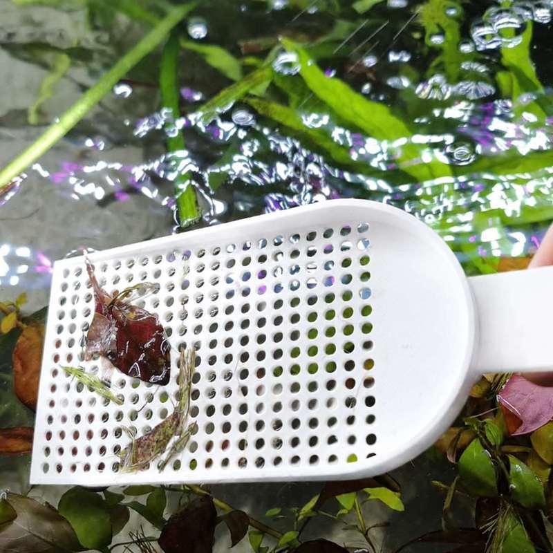 水槽用ゴミ取りネット、細かい網目、水草清掃ツール、毎日の水槽 - Planted Aquarium Maintenance のレビューと価格