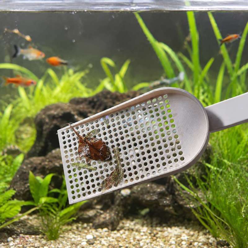 水槽用ゴミ取りネット、細かい網目、水草清掃ツール、毎日の水槽 - Planted Aquarium Maintenance のレビューと価格