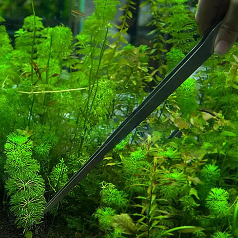 水族館のメンテナンス用のステンレス鋼ピンセット、27cm、ユ - Planted Aquarium Maintenance のレビューと価格