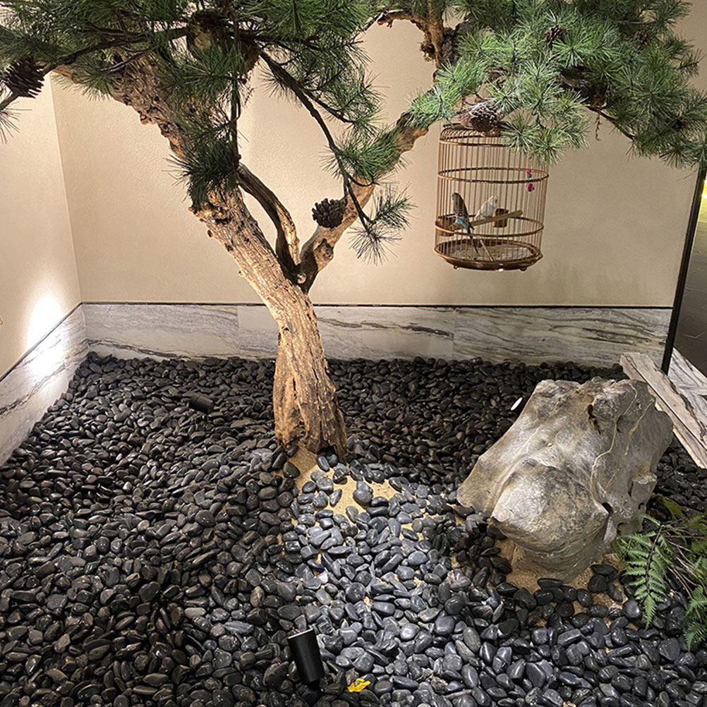 1セット 景観美化用小石 天然水槽石 植物・水槽・庭用装飾石 - Planted Aquarium With Rocks のレビューと価格