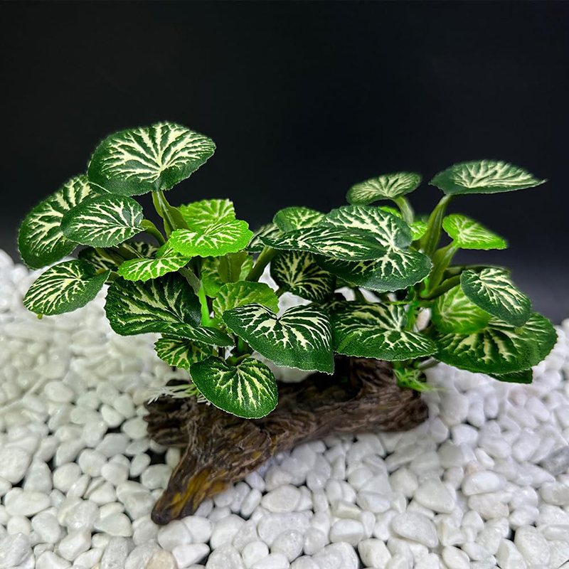 人工水中草水族館の水槽シミュレーション装飾水族館の背景植物水 - Aquarium Planted Background のレビューと価格