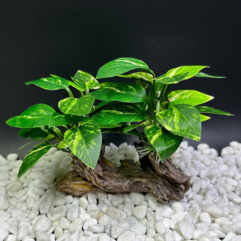 人工水中草水族館の水槽シミュレーション装飾水族館の背景植物水 - Aquarium Planted Background のレビューと価格