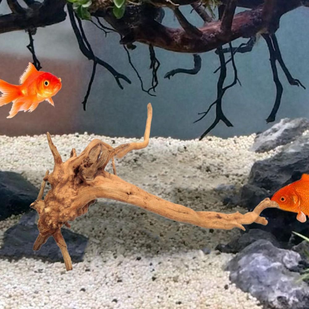 天然木のトランクの装飾水族館の装飾流木の枝造園の装飾品水槽の - Planted Aquarium Media のレビューと価格