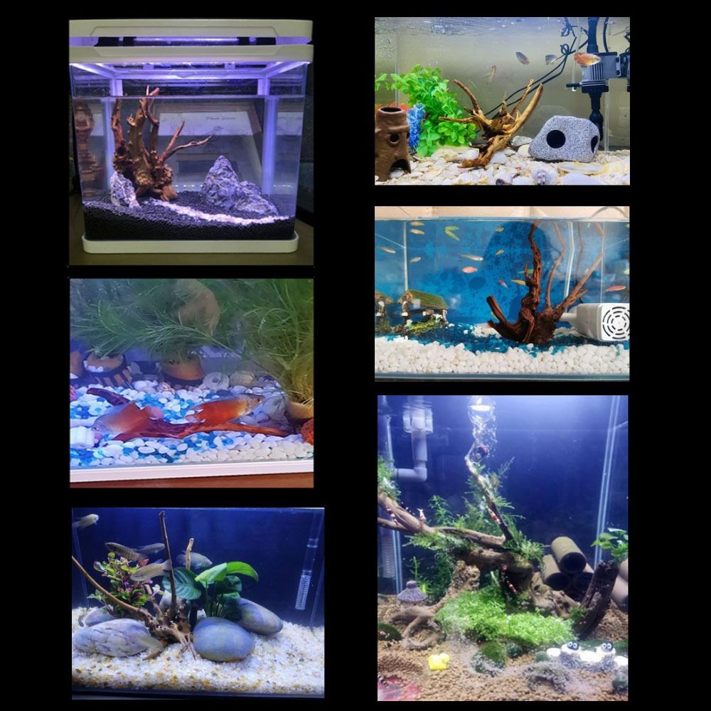 天然木のトランクの装飾水族館の装飾流木の枝造園の装飾品水槽の - Planted Aquarium Media のレビューと価格