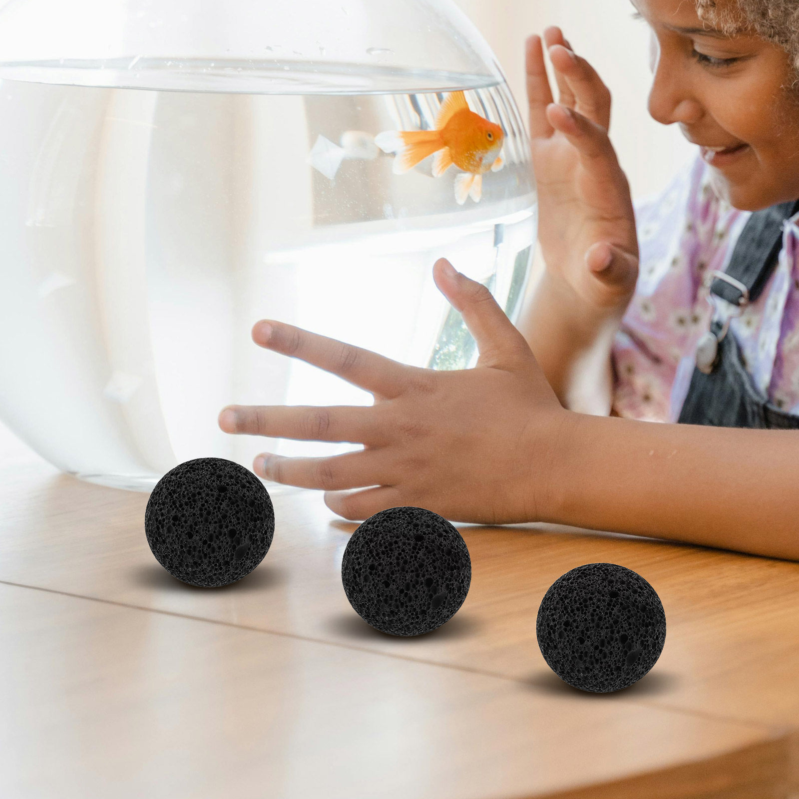 5個入り丸型溶岩石小石、水槽用火山石、魚タンク装飾、天然フィ - Planted Aquarium With Rocks のレビューと価格