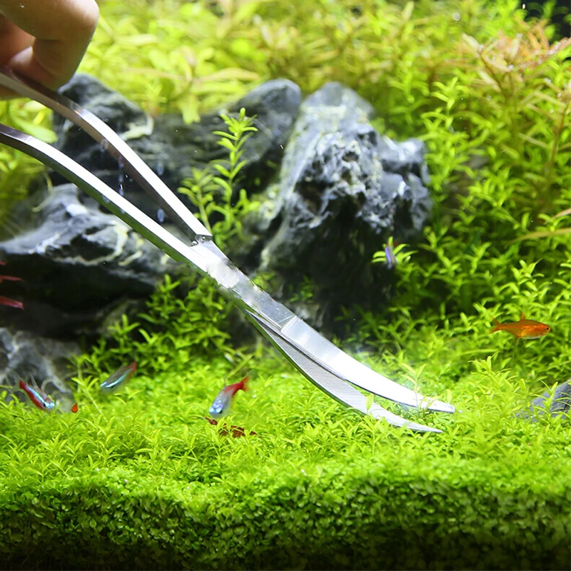 水族館はさみツール水槽ピンセット植物波はさみ草ステンレスクリ - Aquarium Plant Grass のレビューと価格