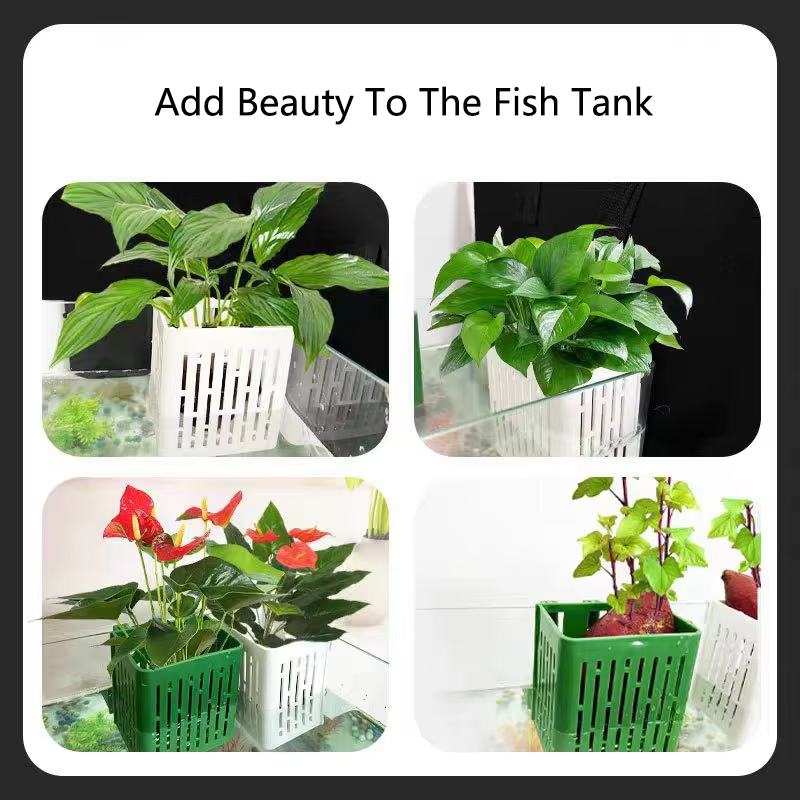 1個入り 水草水槽用 水耕栽培バスケット ガラスポット 水槽 - Aquarium Planted Background のレビューと価格