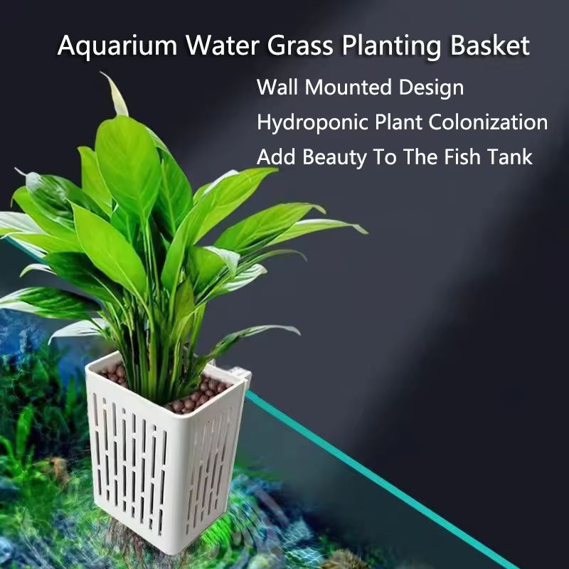 1個入り 水草水槽用 水耕栽培バスケット ガラスポット 水槽 - Aquarium Planted Background のレビューと価格