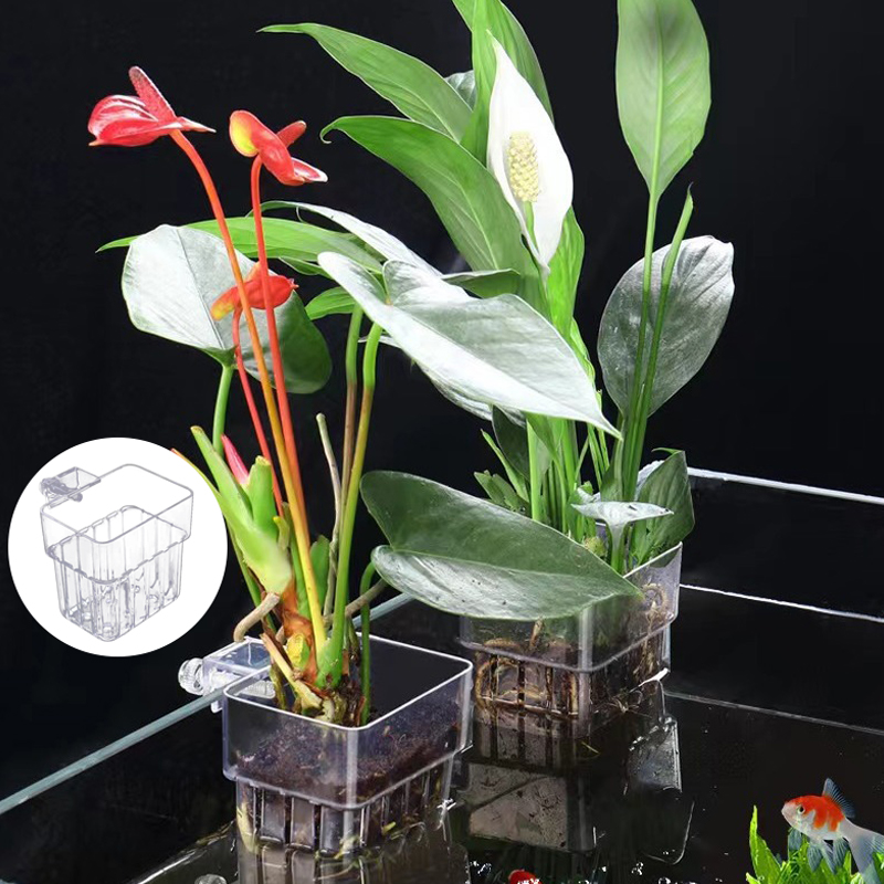 多機能フィッシュ水族館、水草植栽カップ、魚の分離ボックス、水 - Aquarium Plant Grass のレビューと価格