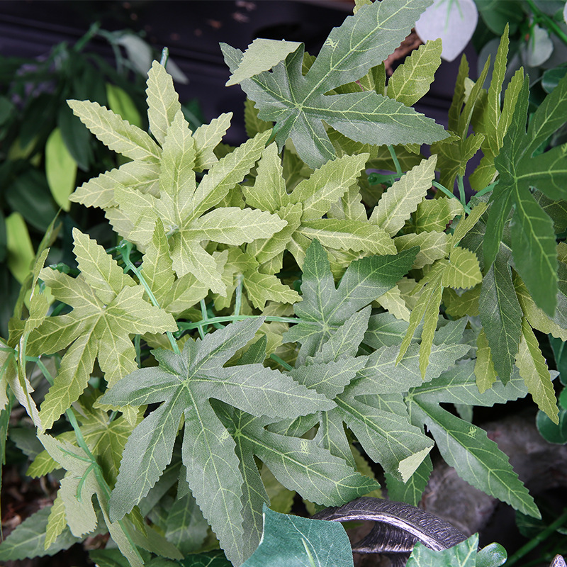 爬虫類テラリウム＆水槽用人工植物、爬虫類、カメ、水槽用のリア - Aquarium Plant Vine のレビューと価格