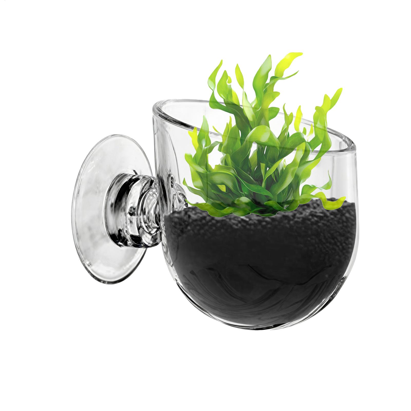 水槽植物ホルダー アクリル製水生植物カップ 水槽用ガラス製植 - Aquarium Planted Background のレビューと価格